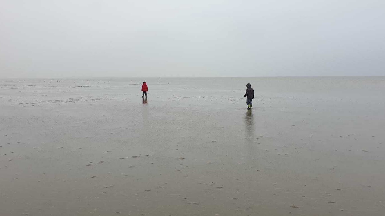 Photo of Others in Horum