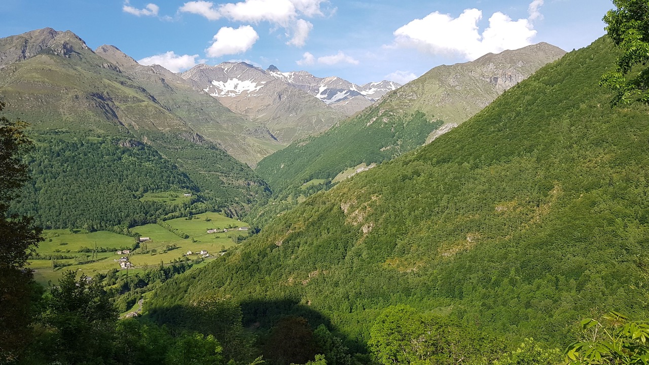 Photo of Others in Gedre