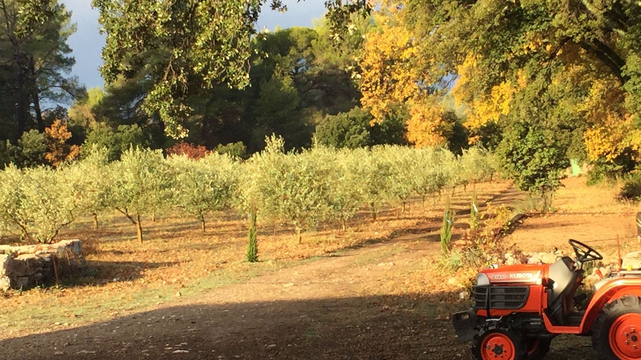 Photo of Outdoor in Aix-en-Provence