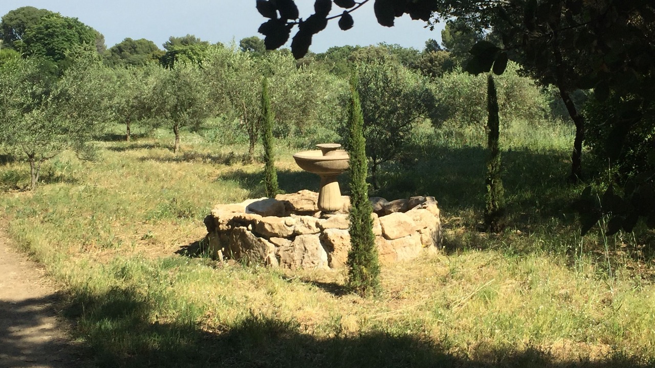 Photo of Outdoor in Aix-en-Provence