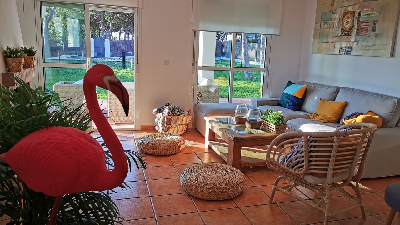 Photo of Livingroom in Cabo Roche
