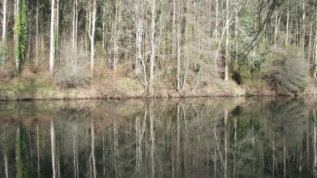 Photo of Others in Bielva