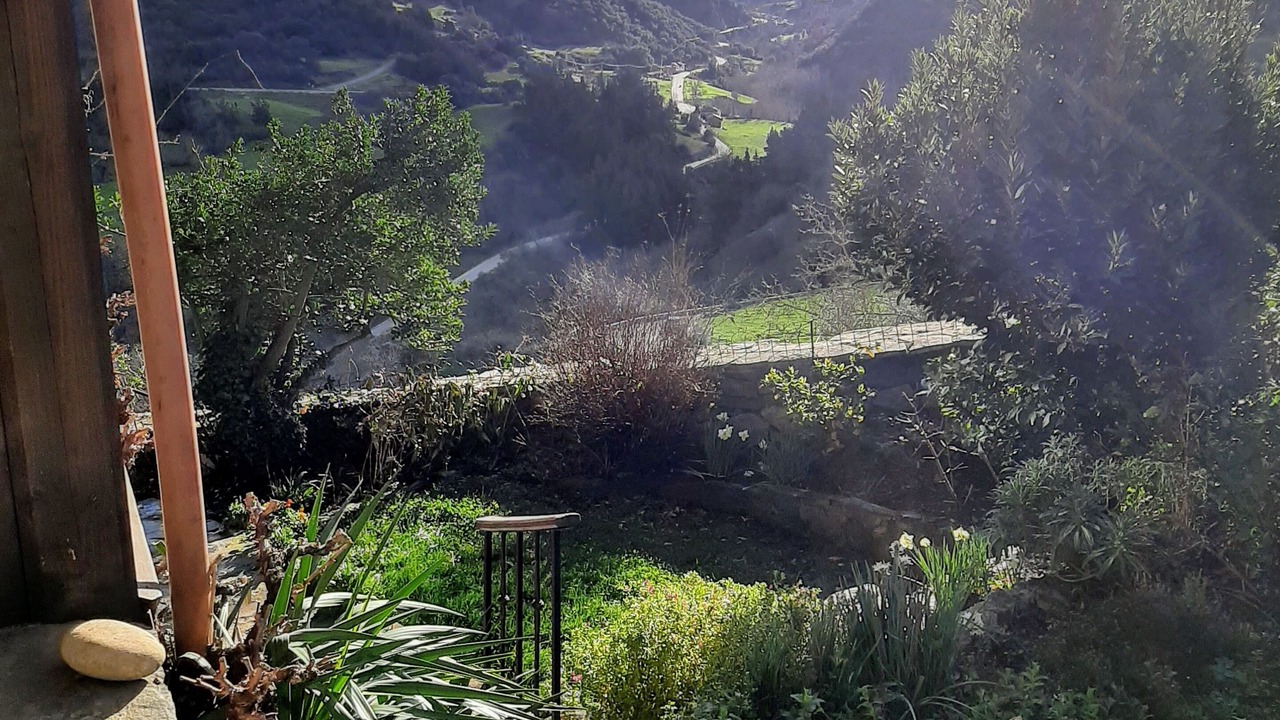 Photo of Outdoor in Basieda