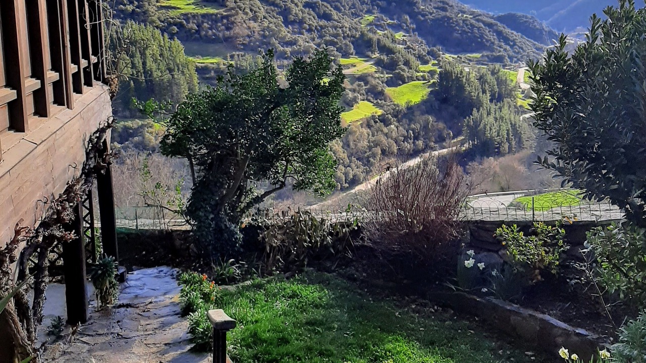 Photo of Outdoor in Basieda