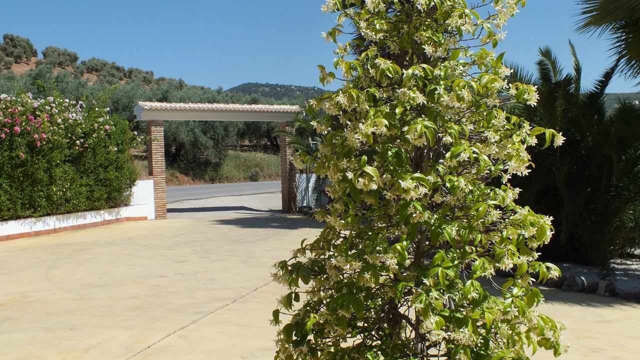 Photo of Outdoor in Iznajar