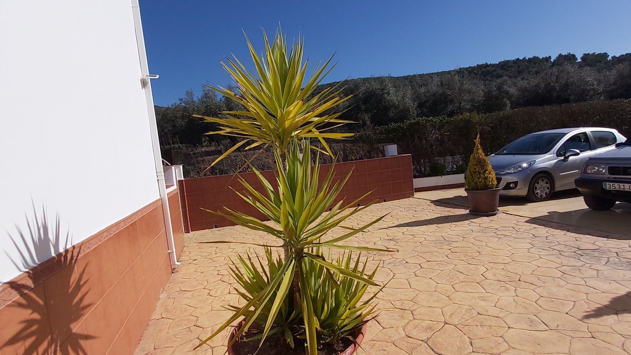 Photo of Outdoor in Iznajar