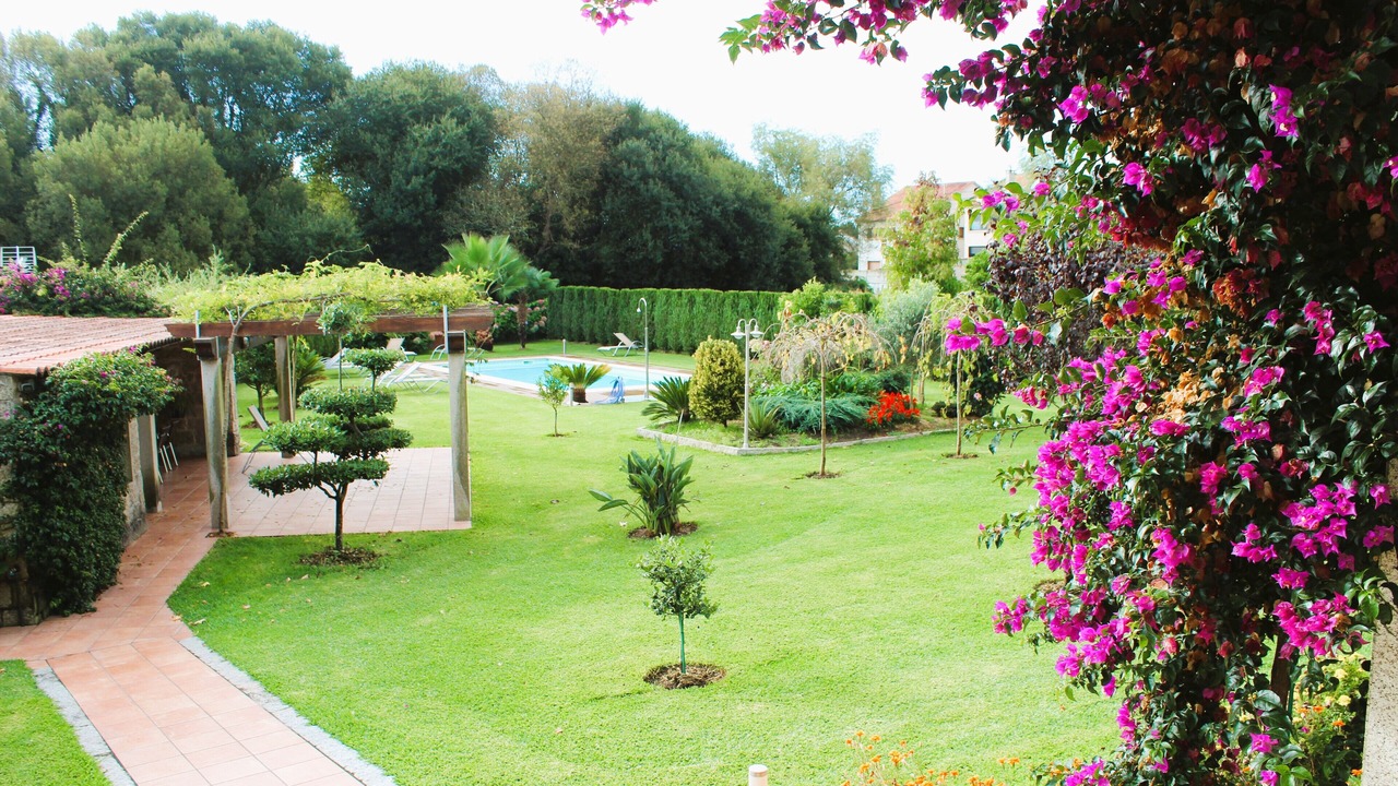 Photo of Outdoor in Ardia