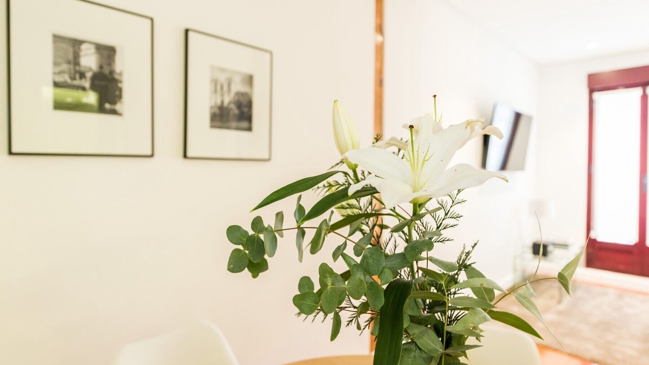 Photo of Livingroom in Malasana