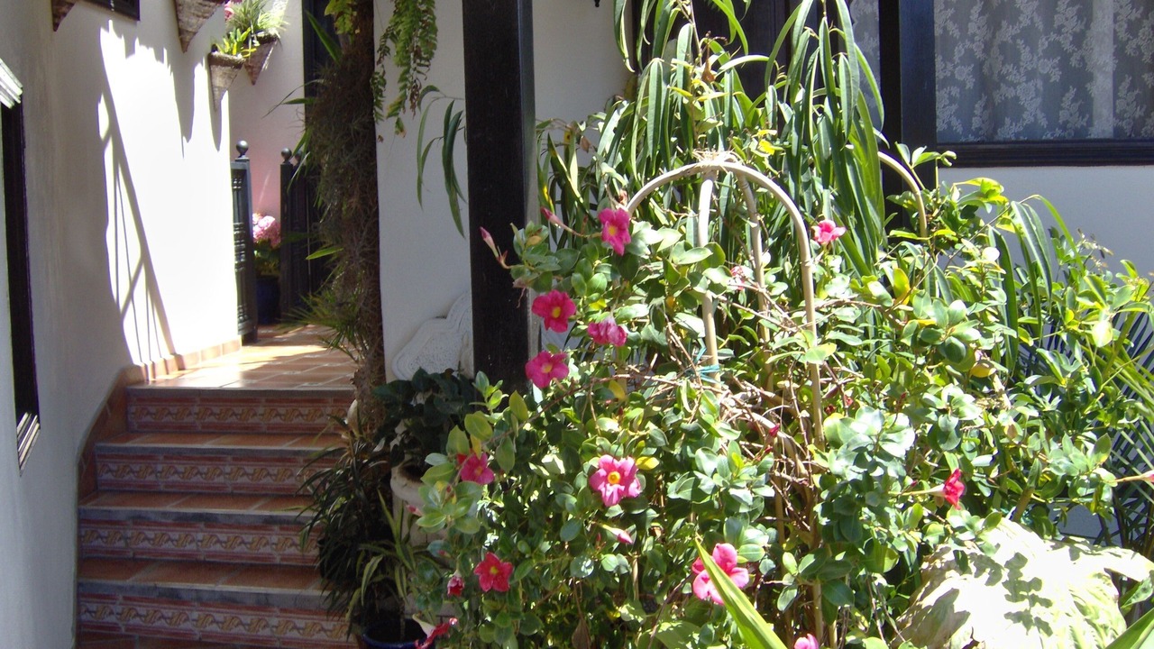 Photo of Outdoor in El Guincho