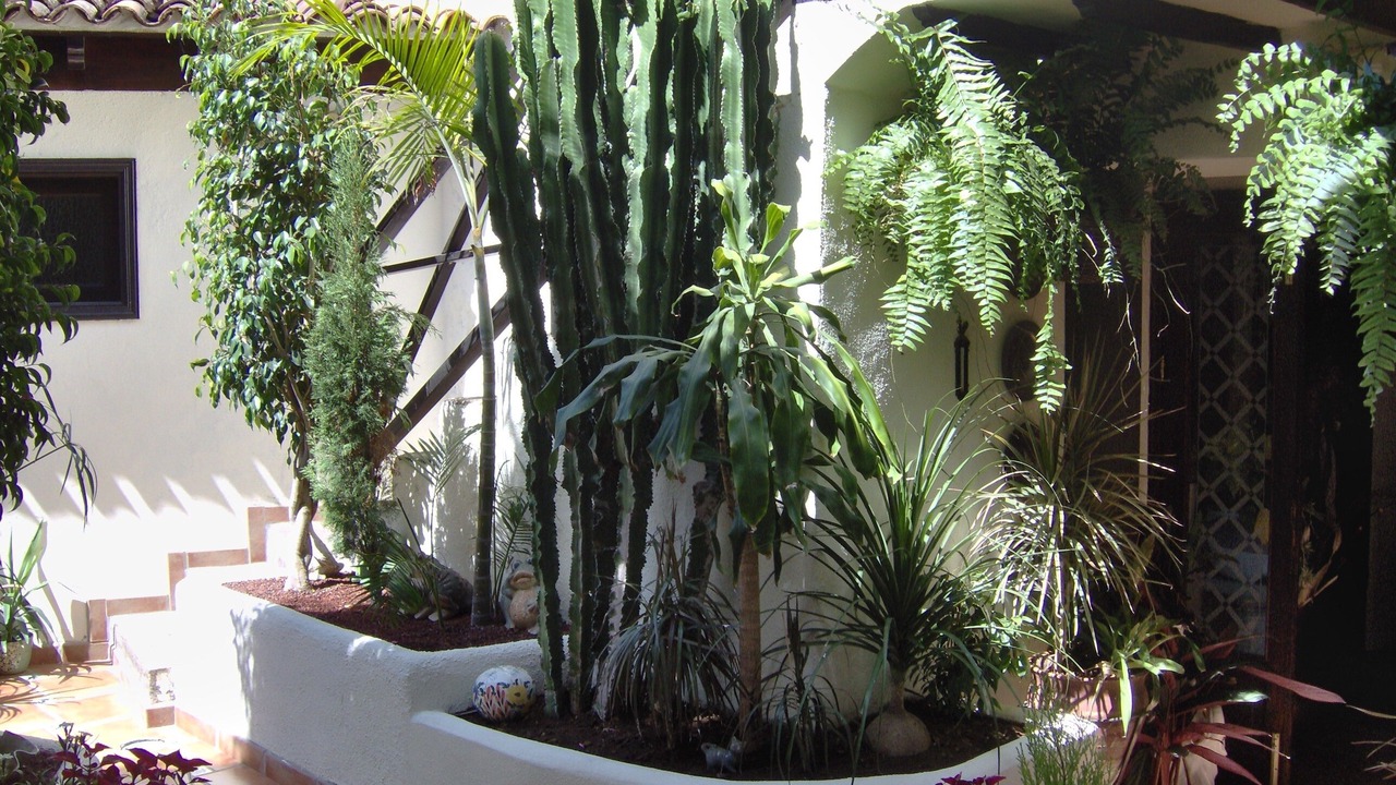 Photo of Outdoor in El Guincho