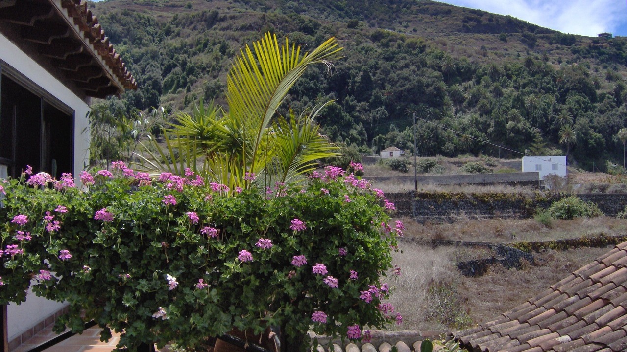 Photo of Outdoor in El Guincho