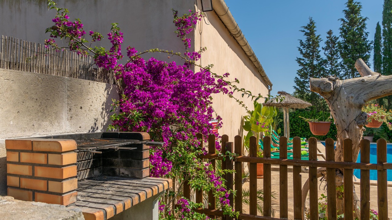 Photo of Outdoor in Campos