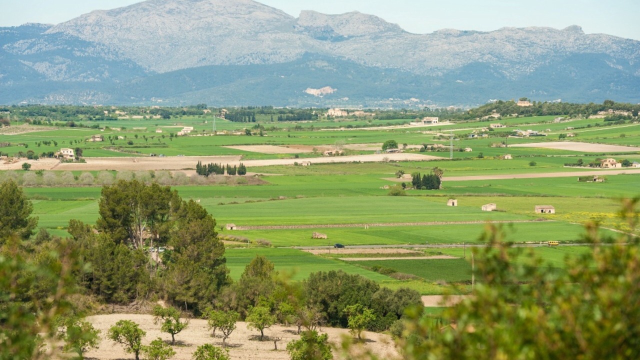 Photo of Others in Ariany