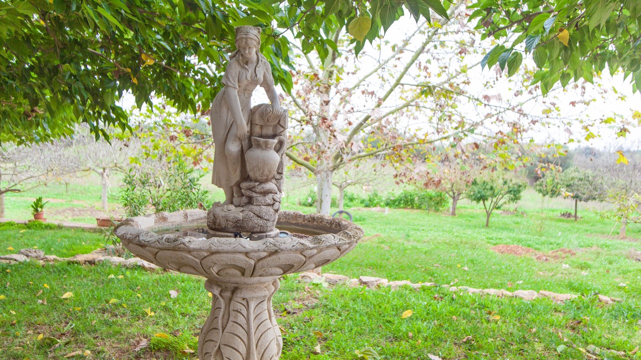 Photo of Outdoor in Manacor