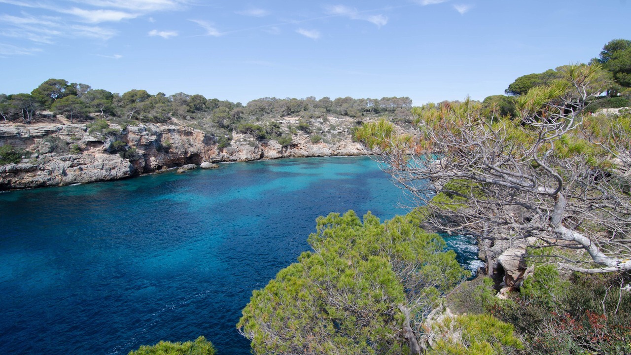 Photo of Others in Cala Pi