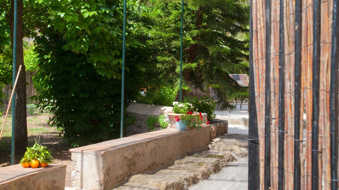 Photo of Outdoor in Soller