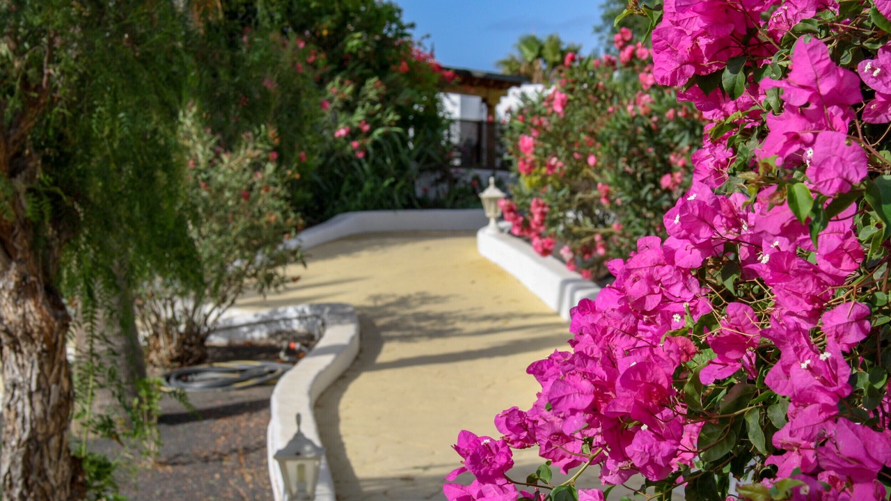Photo of Outdoor in Los Pocillos