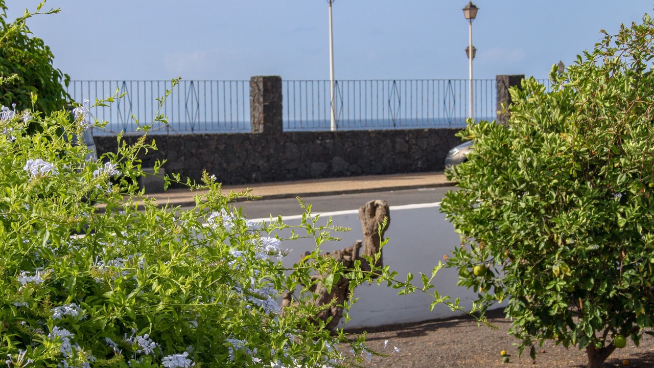 Photo of Outdoor in Los Pocillos