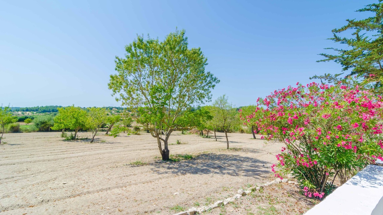 Photo of Outdoor in Montuiri