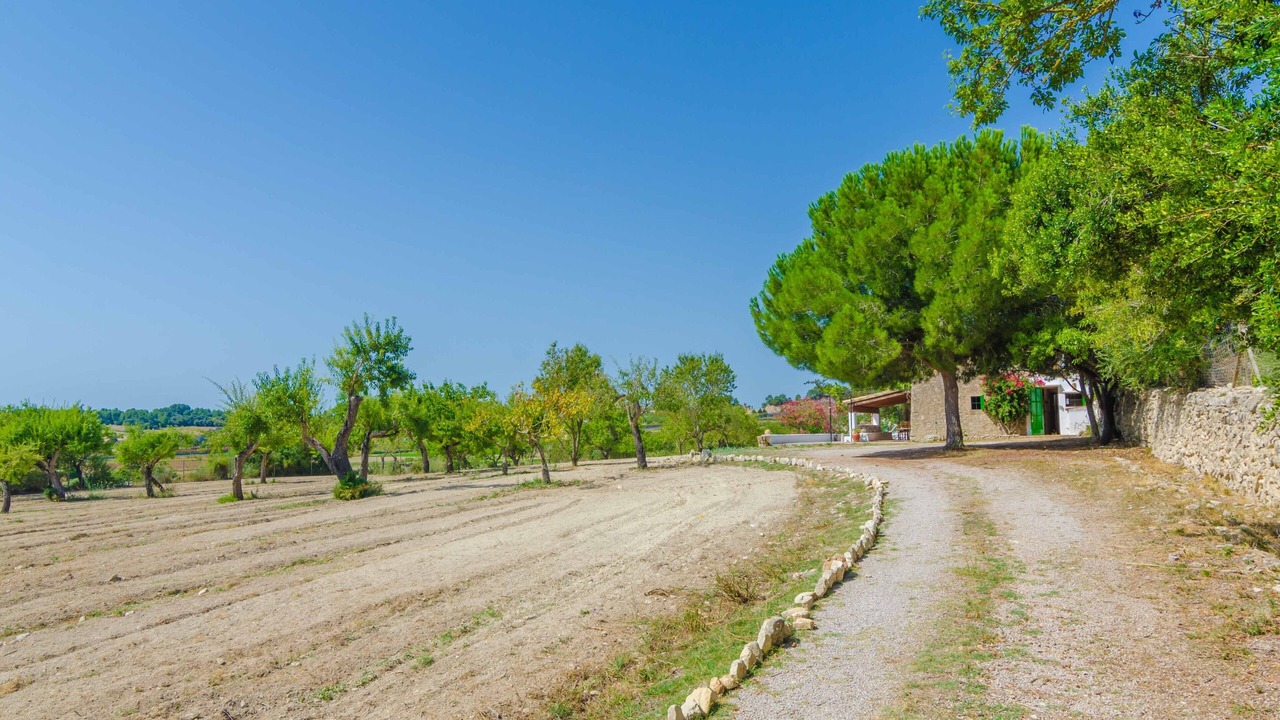 Photo of Outdoor in Montuiri