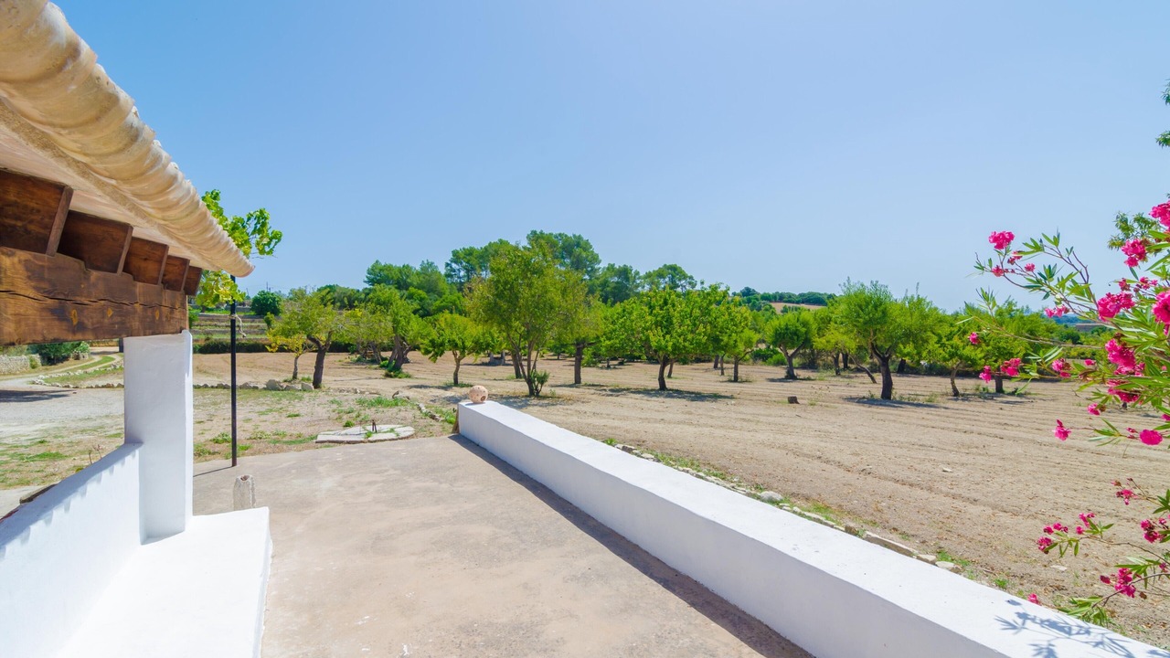 Photo of Outdoor in Montuiri