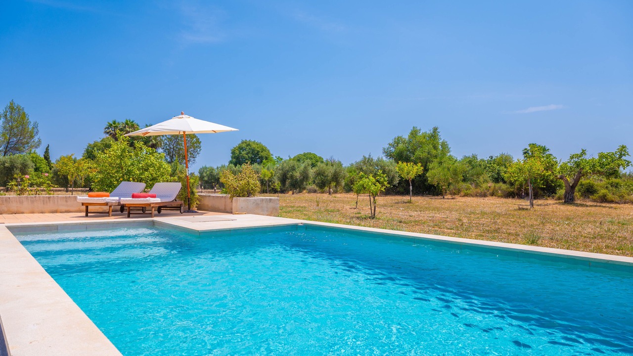 Photo of Outdoor in Selva