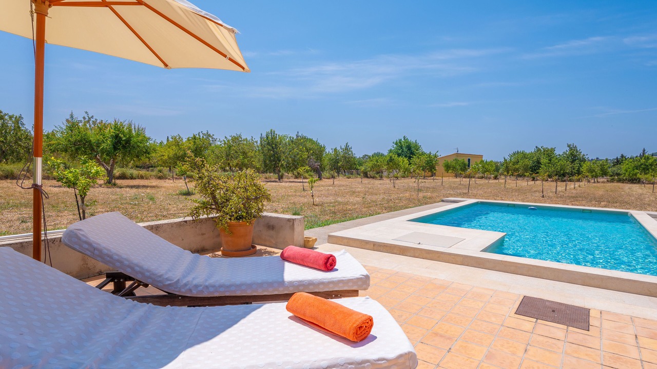 Photo of Outdoor in Selva