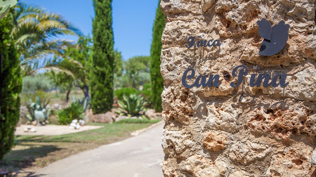 Photo of Outdoor in Costitx