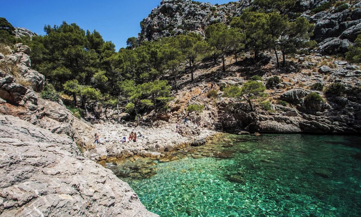 Photo of Others in Cala San Vicente