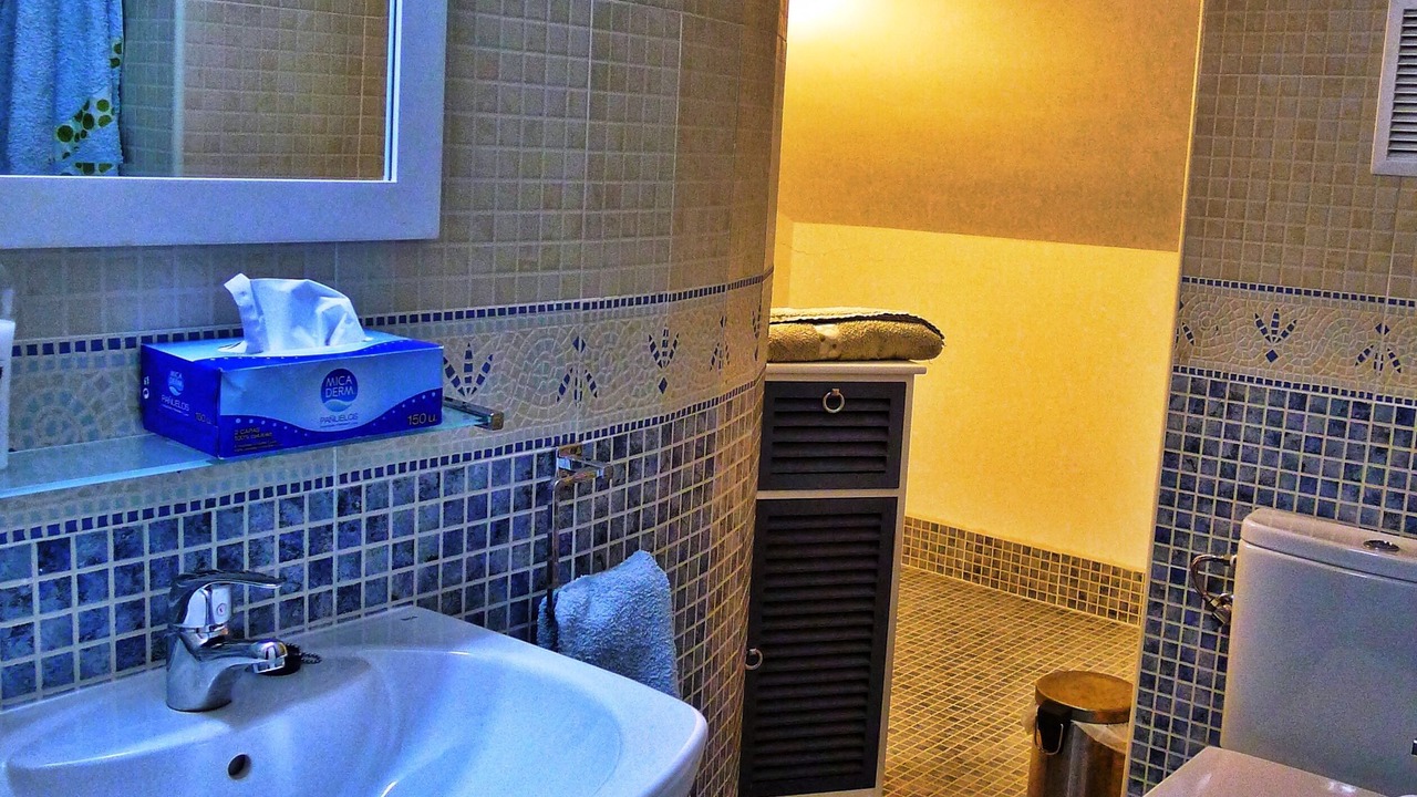 Photo of Bathroom in Centro