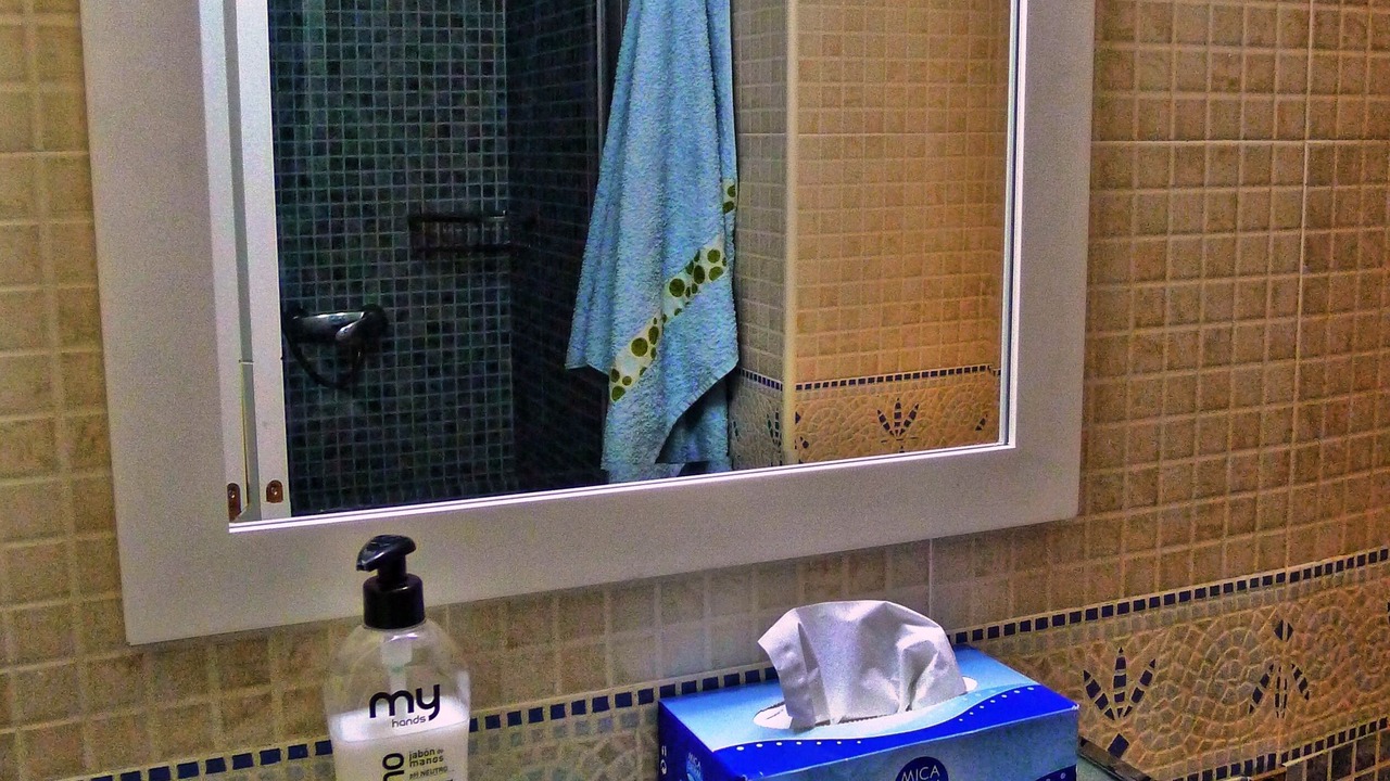 Photo of Bathroom in Centro