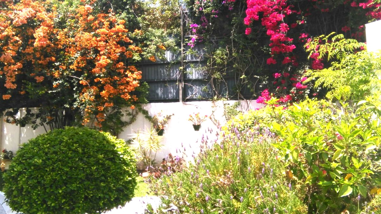 Photo of Outdoor in Carihuela