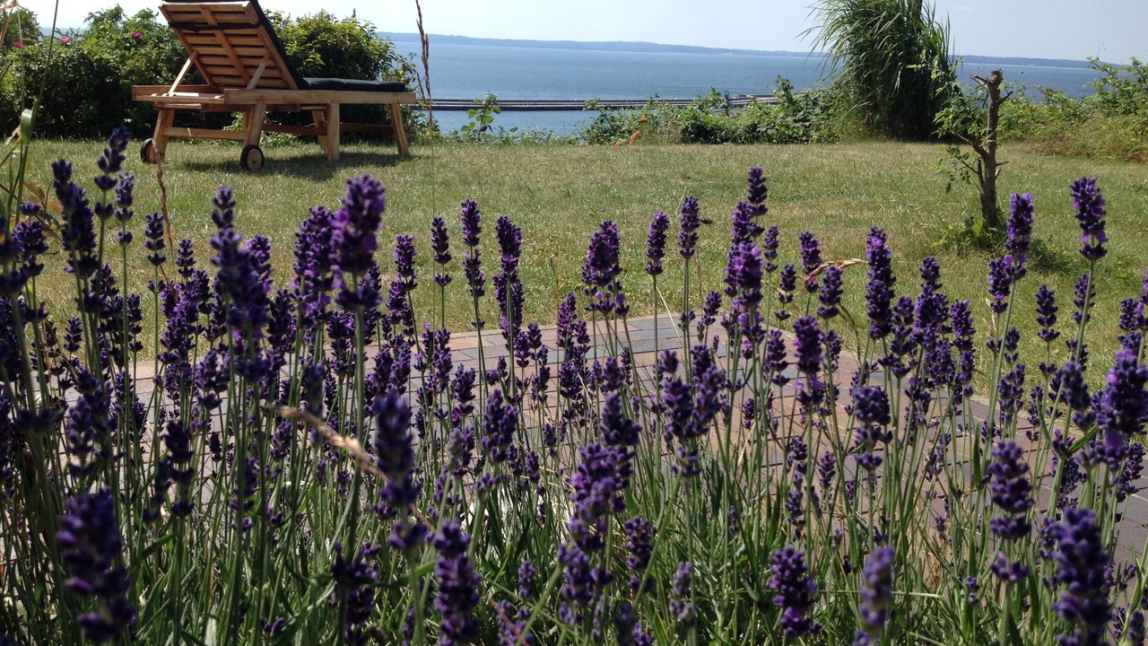Photo of Outdoor in Sassnitz