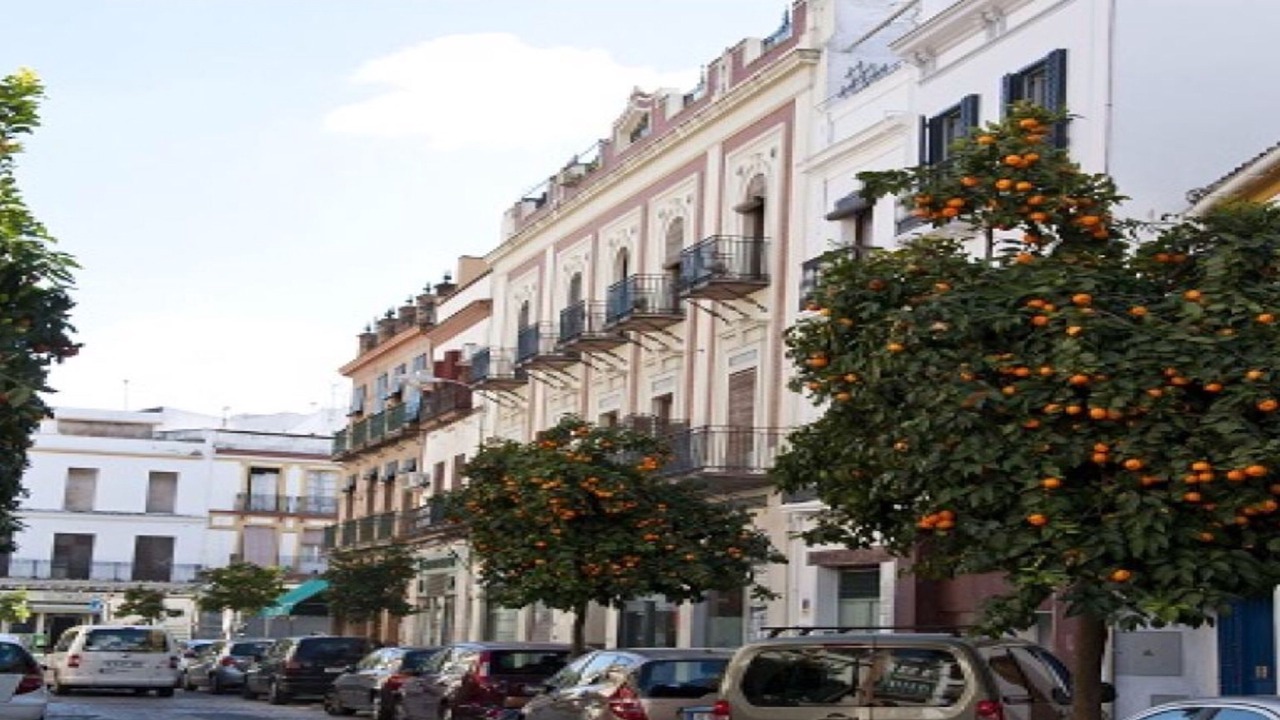 Photo of Others in Triana