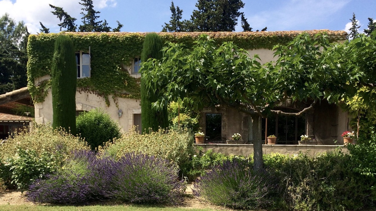 Photo of Outdoor in Paradou