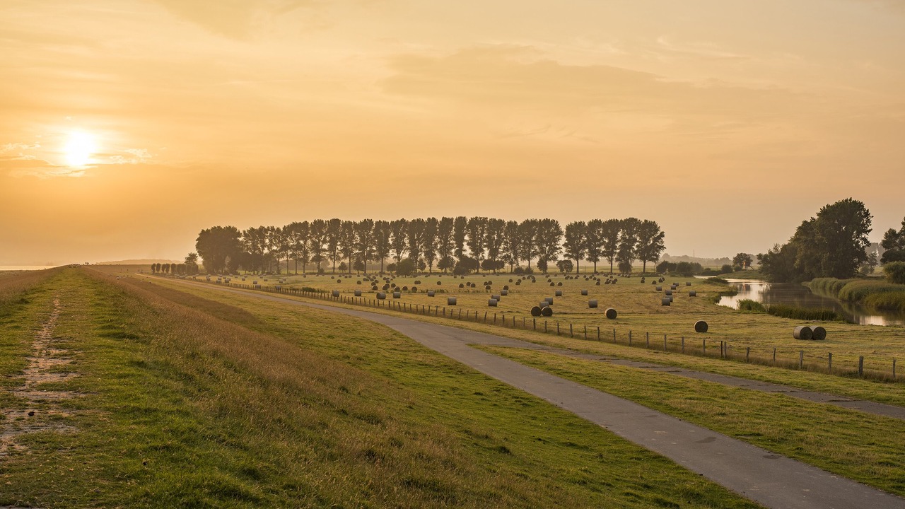 Photo of Outdoor in Wedel