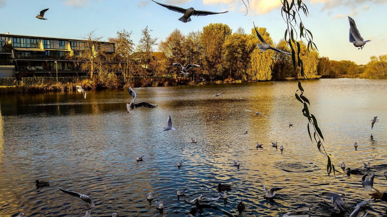 Photo of Outdoor in Wedel