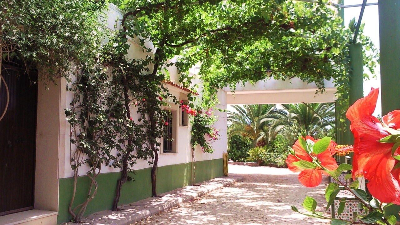 Photo of Outdoor in Polinya de Xuquer