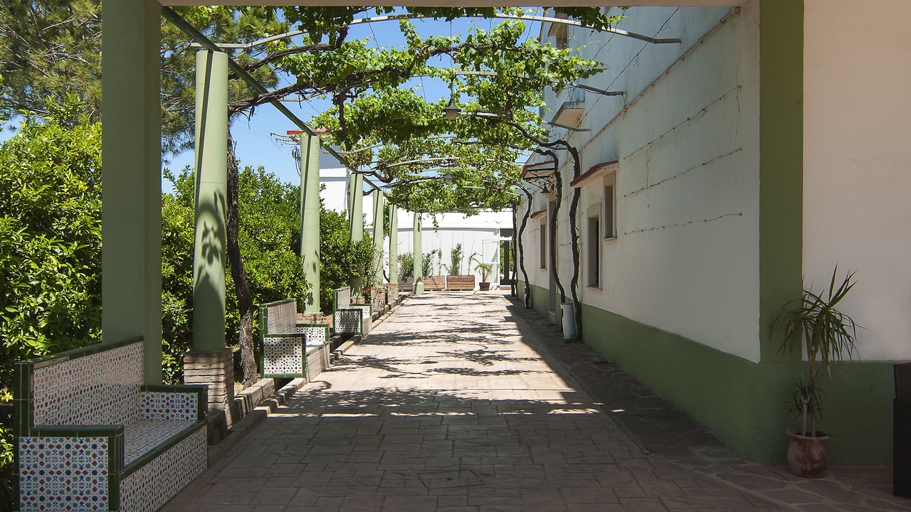 Photo of Outdoor in Polinya de Xuquer