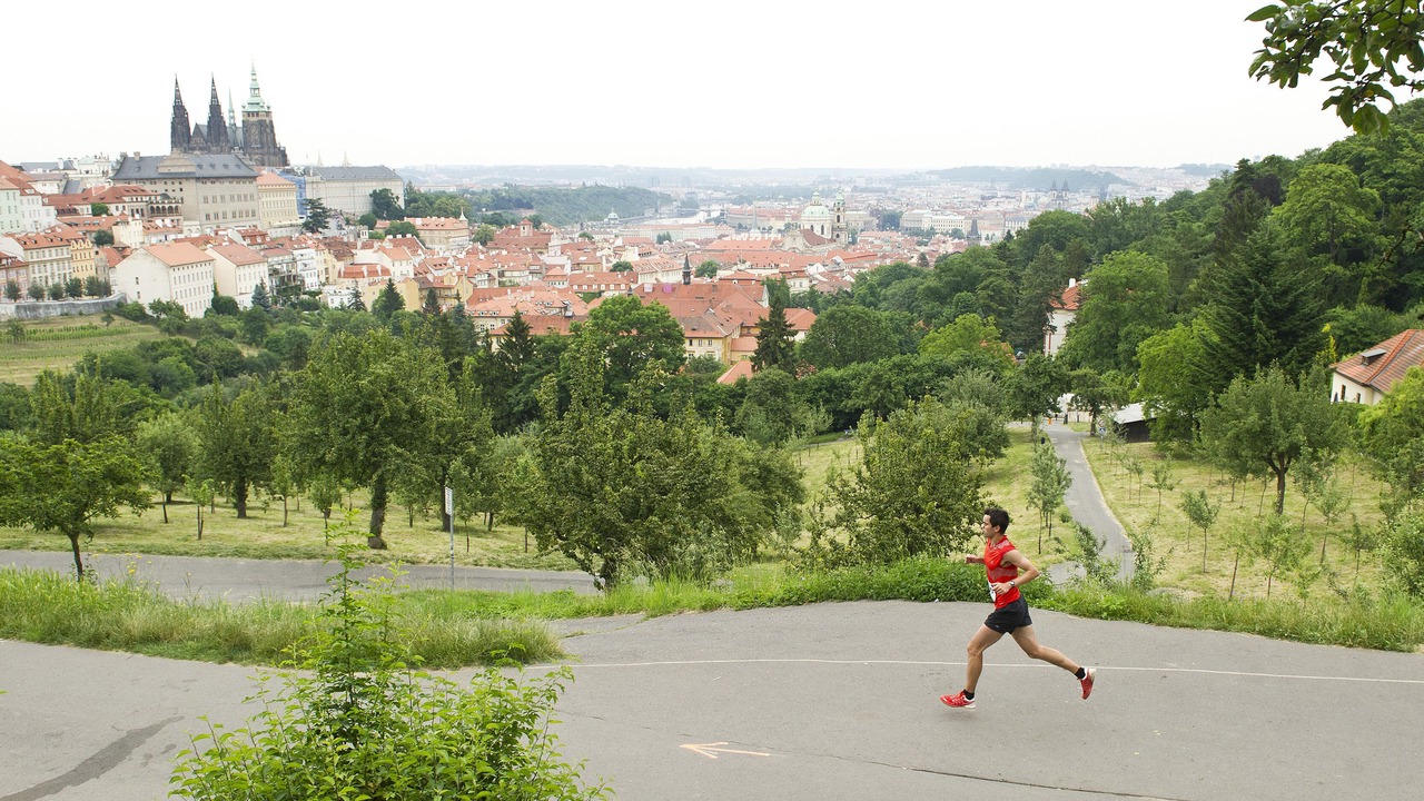 Photo of Others in Hradcany