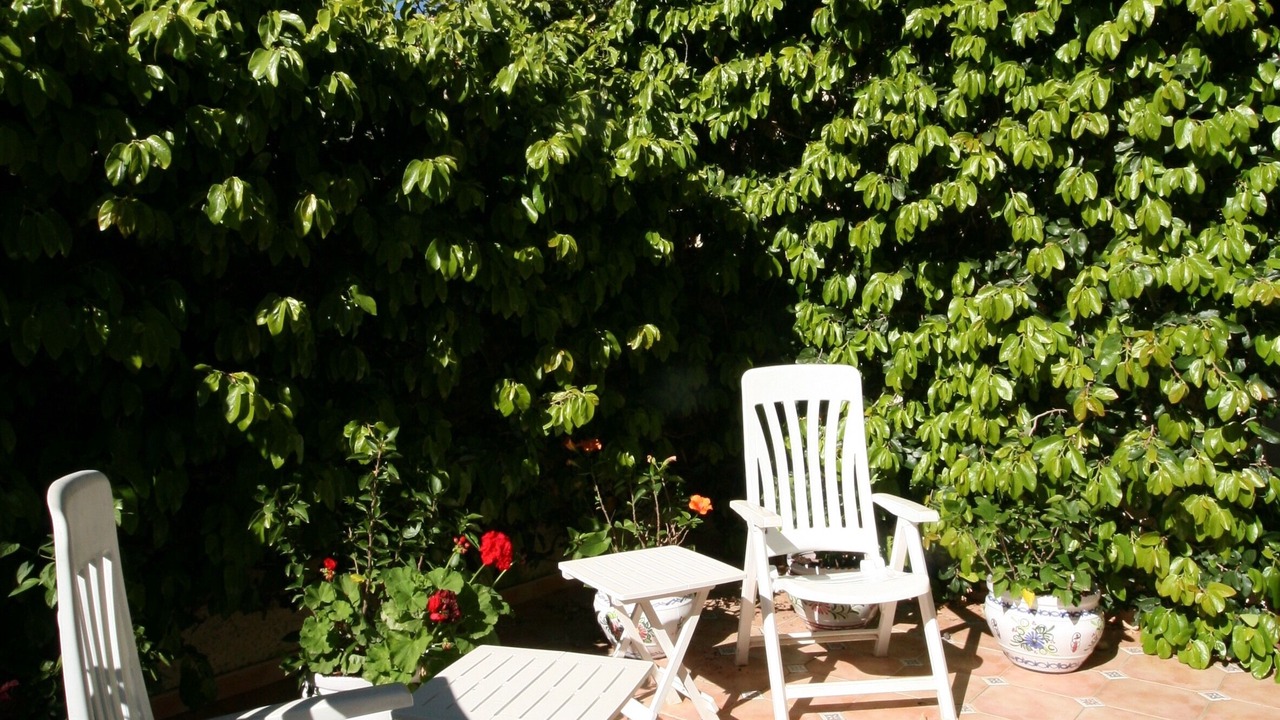 Photo of Patio Balcony in Sitio de Calahonda