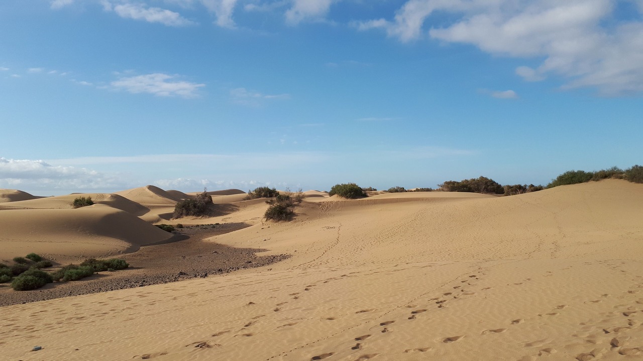 Photo of Others in Maspalomas