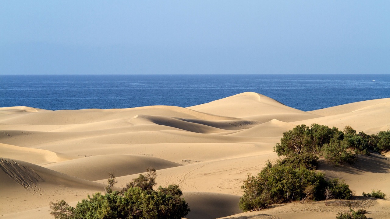 Photo of Others in Maspalomas