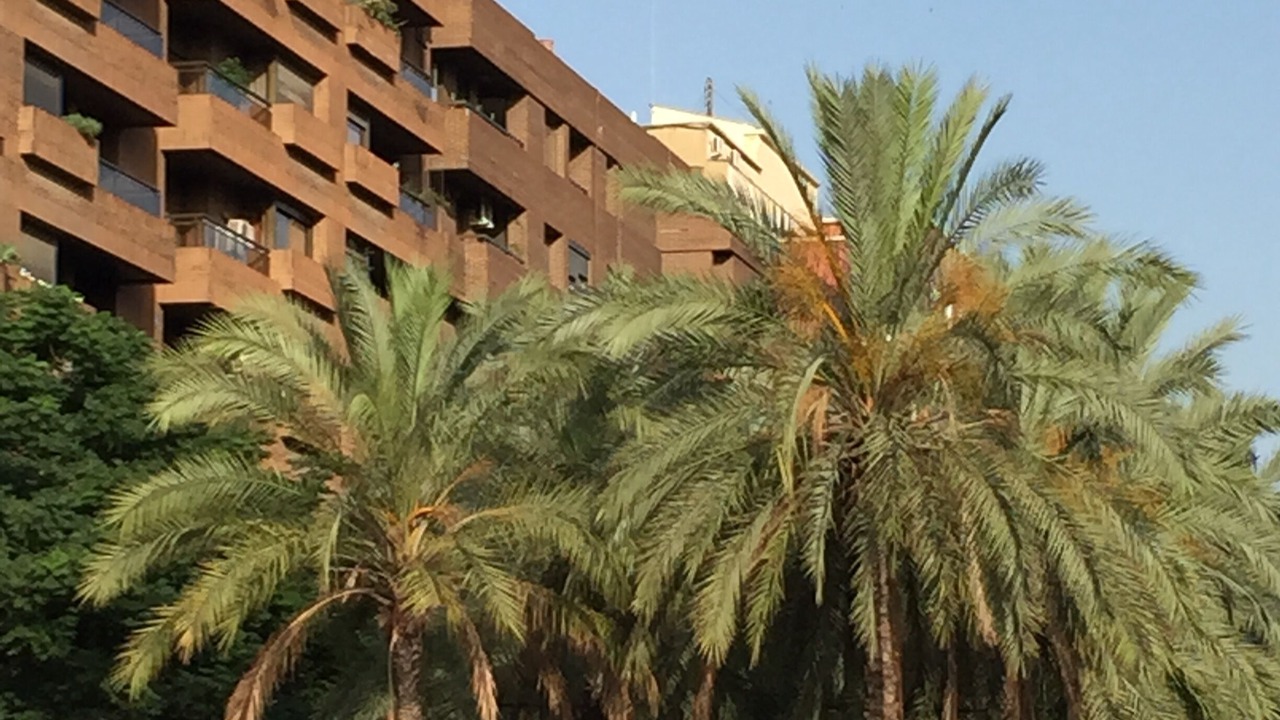 Photo of Outdoor in Montolivet