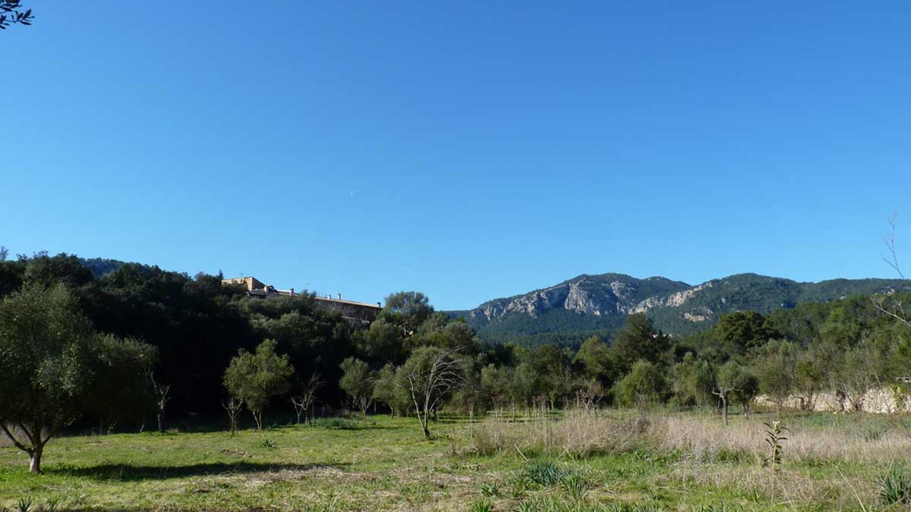 Photo of Others in Esporles