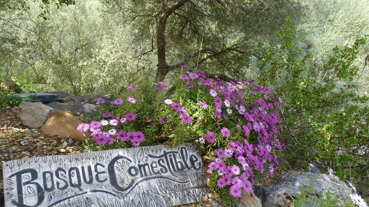Photo of Outdoor in Esporles