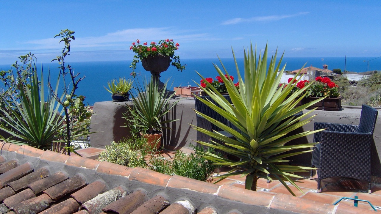 Photo of Outdoor in El Guincho