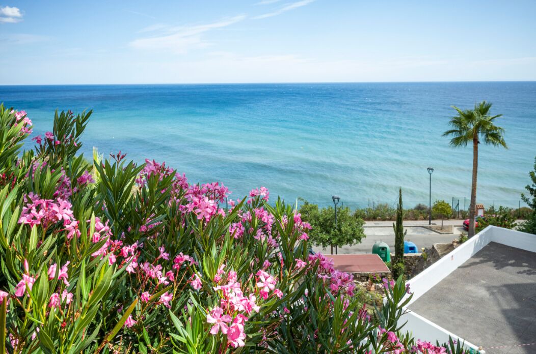 Photo of Outdoor in Torrox Costa