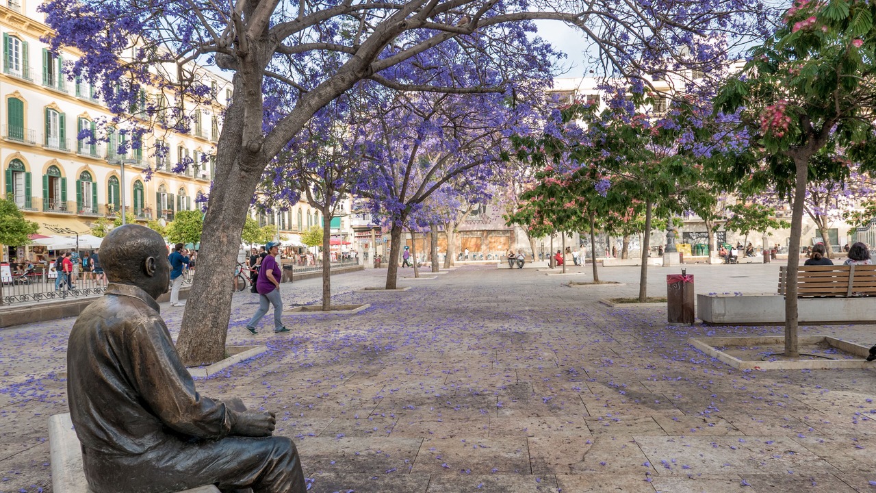 Photo of Outdoor in Centro