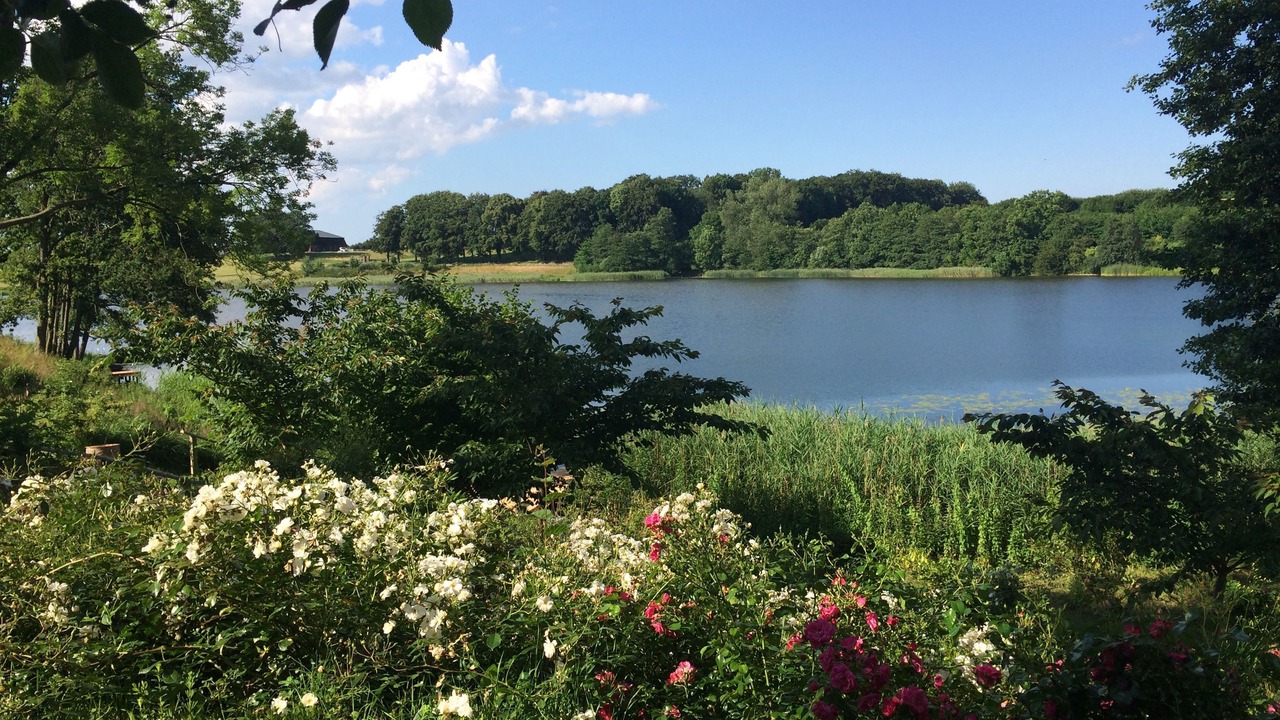 Photo of Others in Ponitz am See